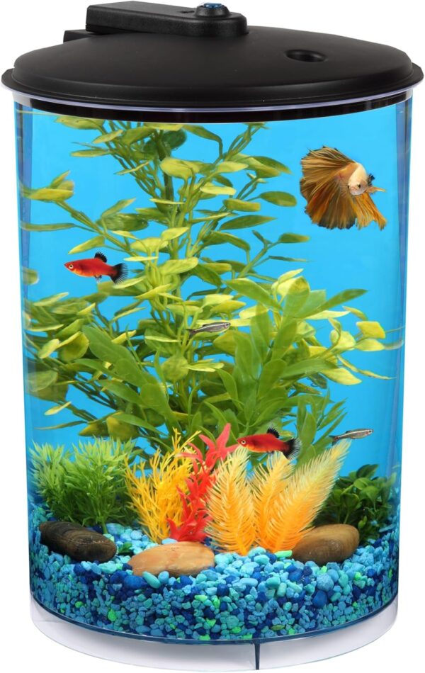 Koller Products 3-Gallon 360 Aquarium with LED Lighting (7 Color Choices) and Power Filter, Ideal for a Variety of Tropical Fish,Crystal-Clear Clarity,AP360A-3FFP