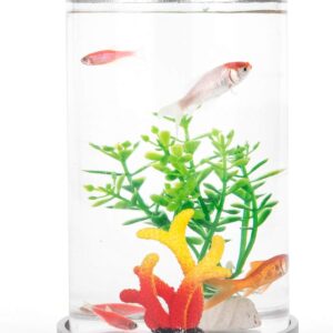 Kotaf Mini Fish Tank with Remote Multi-Color LED System, 0.5 Gallon Aquarium Starter Kits, Desktop Decoration That Grows Plants, Perfect for Birthday Gift and Home/ Workplace Décor