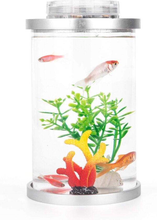 Kotaf Mini Fish Tank with Remote Multi-Color LED System, 0.5 Gallon Aquarium Starter Kits, Desktop Decoration That Grows Plants, Perfect for Birthday Gift and Home/ Workplace Décor