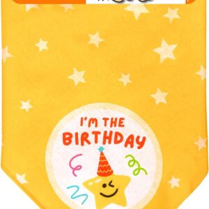 LAMAN Pawty Animal Reversible Dog Birthday Bandana - 100% Cotton Dog Bandana, Pet Birthday Party Supplies, Dog Birthday Presents - Ideal for Small, Medium, Large Dogs & Cats (Birthday Star, Size L)