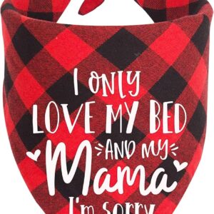 MaySunset Funny Cute Red Plaid Triangle Dog Bandanas Scarf, I Only Love My Bed and My Mother I'm Sorry, Suitable for Small and Medium Sized Dog Pets Gift