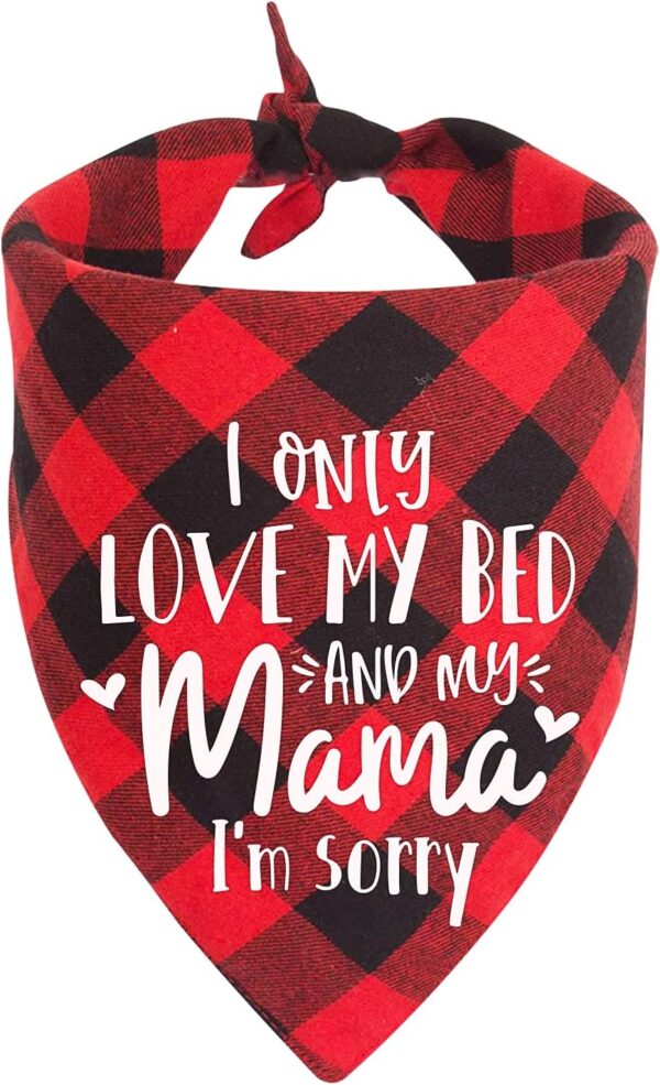 MaySunset Funny Cute Red Plaid Triangle Dog Bandanas Scarf, I Only Love My Bed and My Mother I'm Sorry, Suitable for Small and Medium Sized Dog Pets Gift