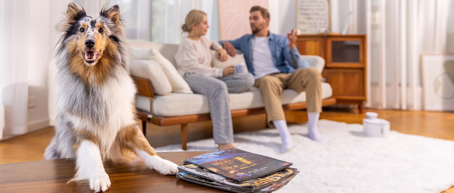 a happy dog and a couple in the living room