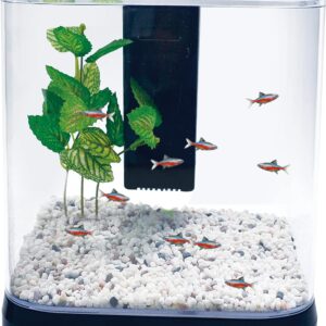 Penn Plax Betta Fish Tank Aquarium Kit with LED Light & Internal Filter Desktop Size, 1.5 Gallon