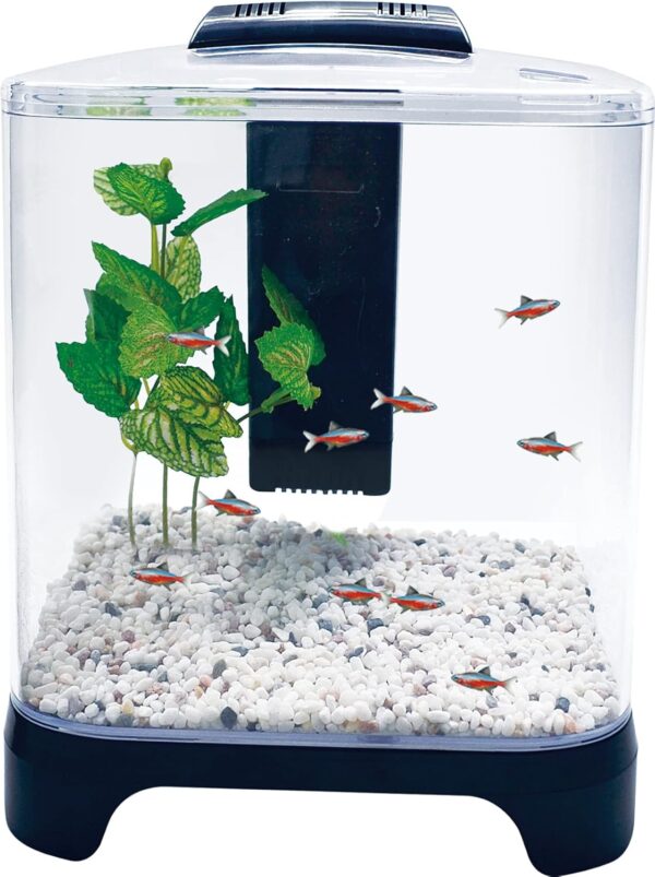 Penn Plax Betta Fish Tank Aquarium Kit with LED Light & Internal Filter Desktop Size, 1.5 Gallon