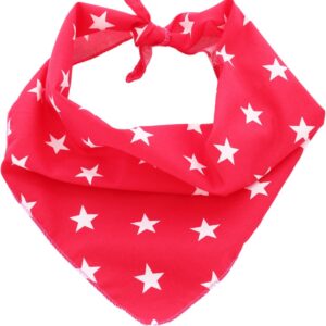 Pet Pooch Boutique Star Bandana for Dog, Small/Medium, Red