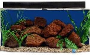 SeaClear 26 gal Flat Back Hexagon Acrylic Aquarium Combo Set, 36 by 12 by 16", Cobalt Blue