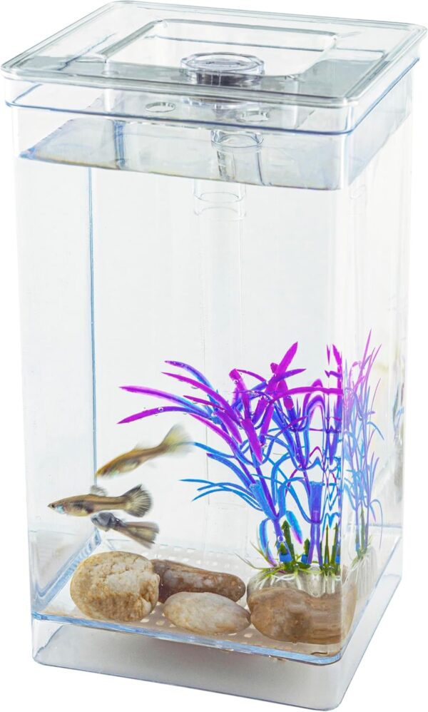 Small Fish Tank one Gallon Square