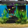 Tetra 3 Gallon Aquarium, STEM Kit
