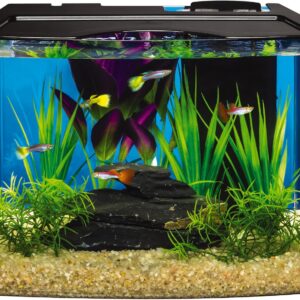 Tetra 3 Gallon Aquarium, STEM Kit