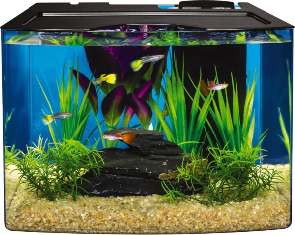 Tetra 3 Gallon Aquarium, STEM Kit